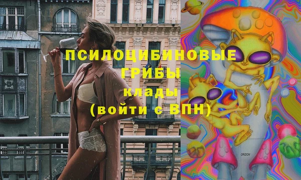 spice Армянск